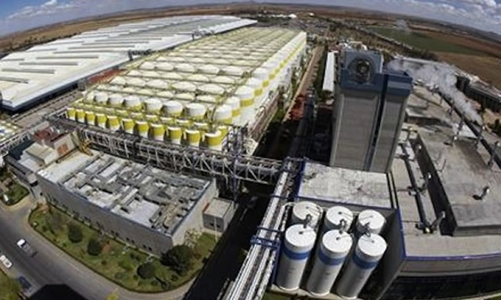 Grupo Modelo Piedras Negras, Coah.